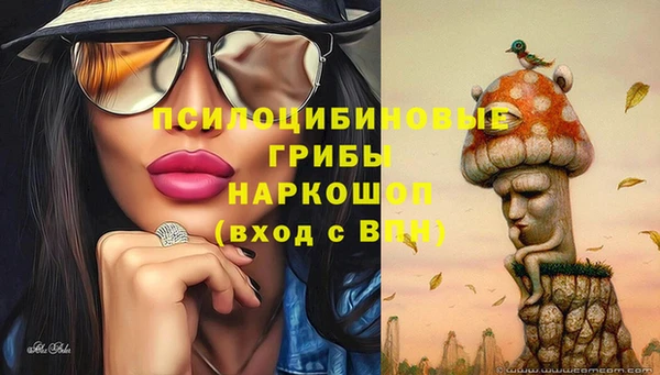 прущие крисы Вязники